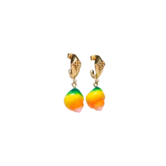 Boucles d&rsquo;oreilles pendantes en coquillage