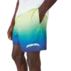 Short de bain dégradé Short de bain dégradé