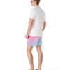 Shorts de bain à imprimé dégradé Shorts de bain à imprimé dégradé