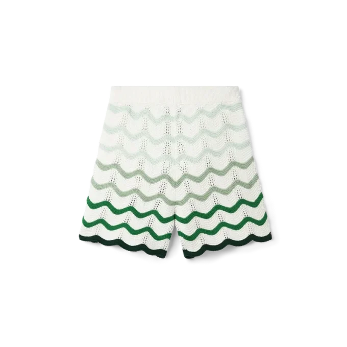 Shorts en crochet à dégradé ondulé Shorts en crochet à dégradé ondulé