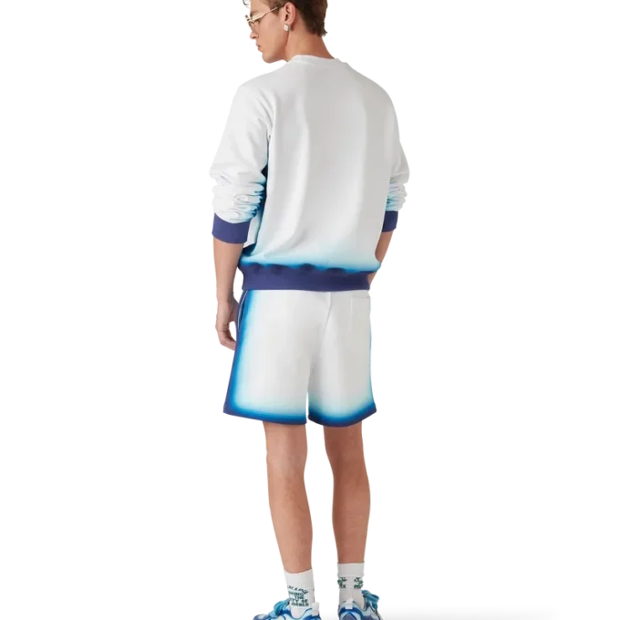 Sweat-shirt bleu dégradé Sweat-shirt bleu dégradé