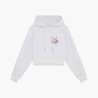 Sweat-shirt court à capuche brodé gris